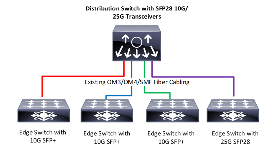 Distribution Switch with SFP28 10G/25G Transceivers