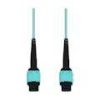 MPO Patch Cables