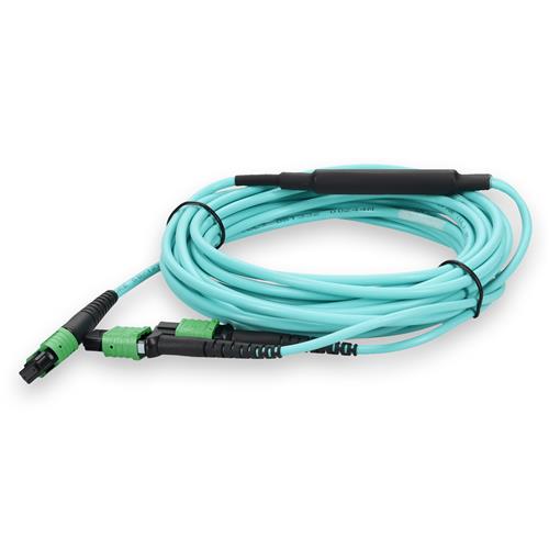 Picture of 5m MPO-12/APC to 2xMPO/APC Aqua OM4 LSZH 8-Strand Fiber Patch Cable