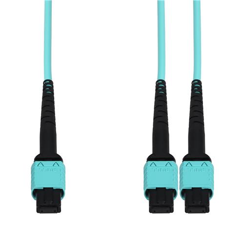 Picture of 10m MPO/UPC to 2xMPO/UPC Aqua OM4 OFNR (Riser-Rated) 24-Strand Fiber Fanout Cable