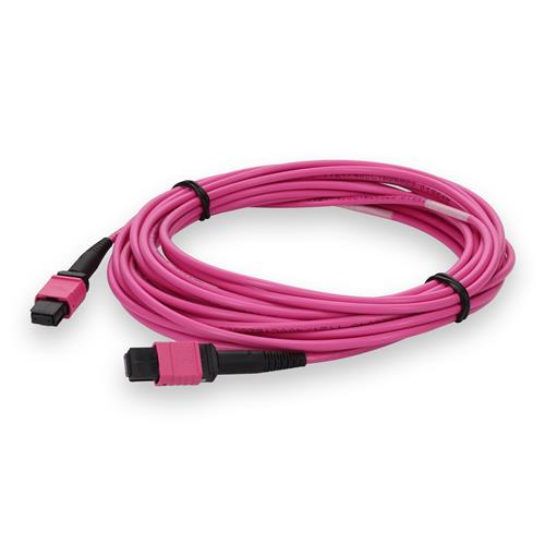 Picture of 10m MPO/UPC to MPO/UPC Magenta OM4 OFNR (Riser-Rated) 12-Strand TAA Fiber Patch Cable