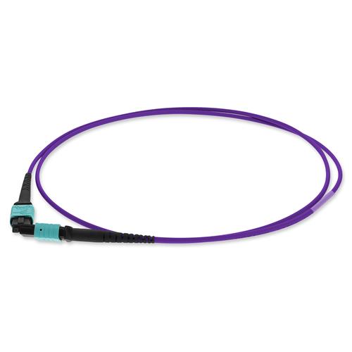 Picture of 10m MPO/UPC to MPO/UPC Purple OM4 OFNR (Riser-Rated) 12-Strand Fiber Patch Cable