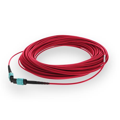 Picture of 11m MPO/UPC to MPO/UPC Red OM4 OFNR (Riser-Rated) 12-Strand Fiber Patch Cable