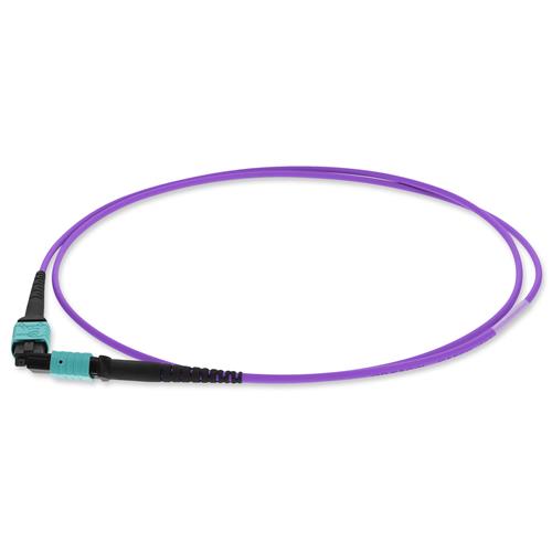Picture of 1m MPO/UPC to MPO/UPC Violet OM4 OFNR (Riser-Rated) 12-Strand Fiber Patch Cable