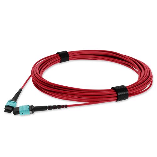 Picture of 1m MPO/UPC to MPO/UPC Red OM4 OFNP (Plenum-Rated) 12-Strand TAA Fiber Patch Cable