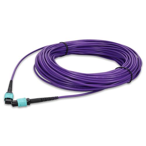 Picture of 35m MPO/UPC to MPO/UPC Purple OM4 OFNR (Riser-Rated) 12-Strand Fiber Patch Cable