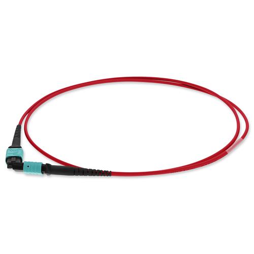 Picture of 9m MPO/UPC to MPO/UPC Red OM4 OFNR (Riser-Rated) 12-Strand Fiber Patch Cable