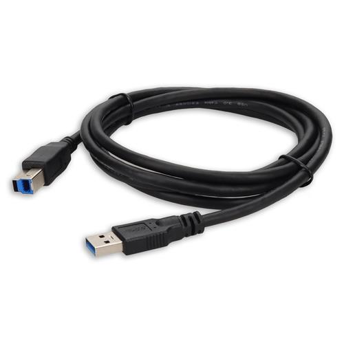 Picture of 10ft USB A 3.0 Male to USB B 3.0 Male Black Cable