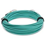 Picture of Extreme Networks® 10317 Compatible TAA Compliant 40GBase-AOC QSFP+ Active Optical Cable (850nm, MMF, 50m)