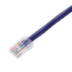 Picture of 6in Purple CAT 5E PVC Ethernet Cable Non-Booted RJ-45 M/M