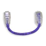 Picture of 6in Purple CAT 6 Slim PVC Ethernet Cable Snagless Clear-Claw RJ-45 M/M