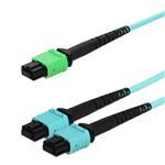 Picture of 10m MPO/APC to 2xMPO/UPC Aqua OM4 OFNR (Riser-Rated) 16-Strand Fiber Fanout Cable