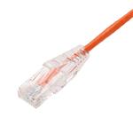 Picture of 2ft Orange CAT 6 Slim PVC Ethernet Cable Snagless Clear-Claw RJ-45 M/M