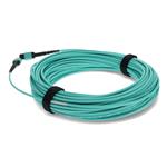 Picture of 2-Pieces of 50m MPO/UPC to MPO/UPC Aqua OM4 OFNR (Riser-Rated) 12-Strand Fiber Patch Cables