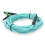Picture of 5m MPO-12/APC to 2xMPO/APC Aqua OM4 LSZH 8-Strand Fiber Patch Cable
