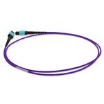 Picture of 10m MPO/UPC to MPO/UPC Purple OM4 OFNR (Riser-Rated) 12-Strand Fiber Patch Cable