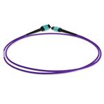 Picture of 10m MPO/UPC to MPO/UPC Purple OM4 OFNR (Riser-Rated) 12-Strand Fiber Patch Cable