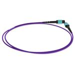 Picture of 10m MPO/UPC to MPO/UPC Purple OM4 OFNR (Riser-Rated) 12-Strand Fiber Patch Cable