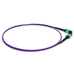 Picture of 10m MPO/UPC to MPO/UPC Purple OM4 OFNR (Riser-Rated) 12-Strand Fiber Patch Cable