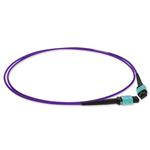 Picture of 10m MPO/UPC to MPO/UPC Purple OM4 OFNR (Riser-Rated) 12-Strand Fiber Patch Cable