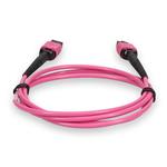 Picture of 10m MPO/UPC to MPO/UPC Magenta OM4 OFNP (Plenum-Rated) 12-Strand TAA Fiber Patch Cable