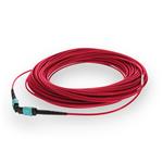 Picture of 11m MPO/UPC to MPO/UPC Red OM4 OFNR (Riser-Rated) 12-Strand Fiber Patch Cable