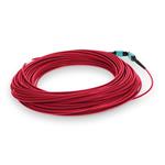 Picture of 11m MPO/UPC to MPO/UPC Red OM4 OFNR (Riser-Rated) 12-Strand Fiber Patch Cable