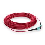Picture of 11m MPO/UPC to MPO/UPC Red OM4 OFNR (Riser-Rated) 12-Strand Fiber Patch Cable