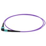 Picture of 1m MPO/UPC to MPO/UPC Violet OM4 OFNR (Riser-Rated) 12-Strand Fiber Patch Cable