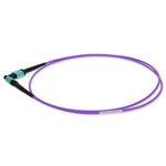 Picture of 1m MPO/UPC to MPO/UPC Violet OM4 OFNR (Riser-Rated) 12-Strand Fiber Patch Cable