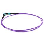 Picture of 1m MPO/UPC to MPO/UPC Violet OM4 OFNR (Riser-Rated) 12-Strand Fiber Patch Cable
