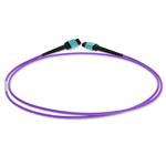 Picture of 1m MPO/UPC to MPO/UPC Violet OM4 OFNR (Riser-Rated) 12-Strand Fiber Patch Cable