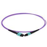 Picture of 1m MPO/UPC to MPO/UPC Violet OM4 OFNR (Riser-Rated) 12-Strand Fiber Patch Cable