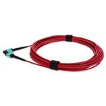 Picture of 1m MPO/UPC to MPO/UPC Red OM4 OFNP (Plenum-Rated) 12-Strand TAA Fiber Patch Cable
