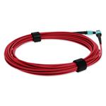 Picture of 1m MPO/UPC to MPO/UPC Red OM4 OFNP (Plenum-Rated) 12-Strand TAA Fiber Patch Cable