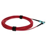 Picture of 1m MPO/UPC to MPO/UPC Red OM4 OFNP (Plenum-Rated) 12-Strand TAA Fiber Patch Cable