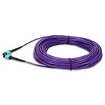 Picture of 35m MPO/UPC to MPO/UPC Purple OM4 OFNR (Riser-Rated) 12-Strand Fiber Patch Cable