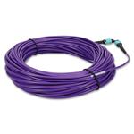 Picture of 35m MPO/UPC to MPO/UPC Purple OM4 OFNR (Riser-Rated) 12-Strand Fiber Patch Cable