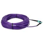 Picture of 35m MPO/UPC to MPO/UPC Purple OM4 OFNR (Riser-Rated) 12-Strand Fiber Patch Cable