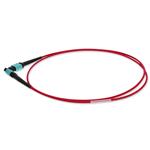 Picture of 9m MPO/UPC to MPO/UPC Red OM4 OFNR (Riser-Rated) 12-Strand Fiber Patch Cable