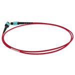 Picture of 9m MPO/UPC to MPO/UPC Red OM4 OFNR (Riser-Rated) 12-Strand Fiber Patch Cable
