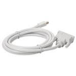 Picture of 6ft Mini-DisplayPort Male to DVI-D Male Adapter Cable White