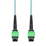 Picture of 20m MPO/APC to MPO/APC Aqua OM4 LSZH 12-Strand Fiber Patch Cable
